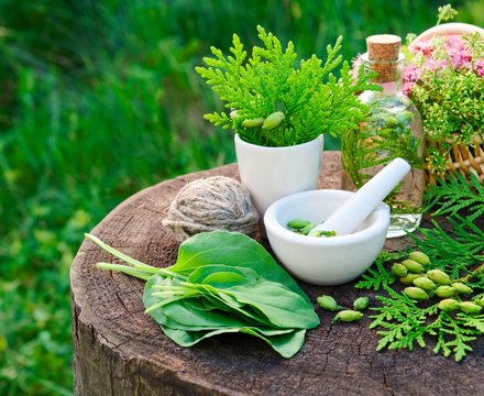 Fresh herbs and a mortar on a tree stump